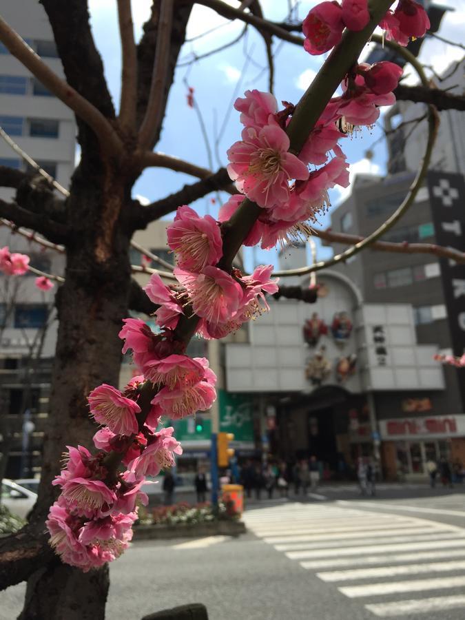 Uni Hostel 大阪市 エクステリア 写真